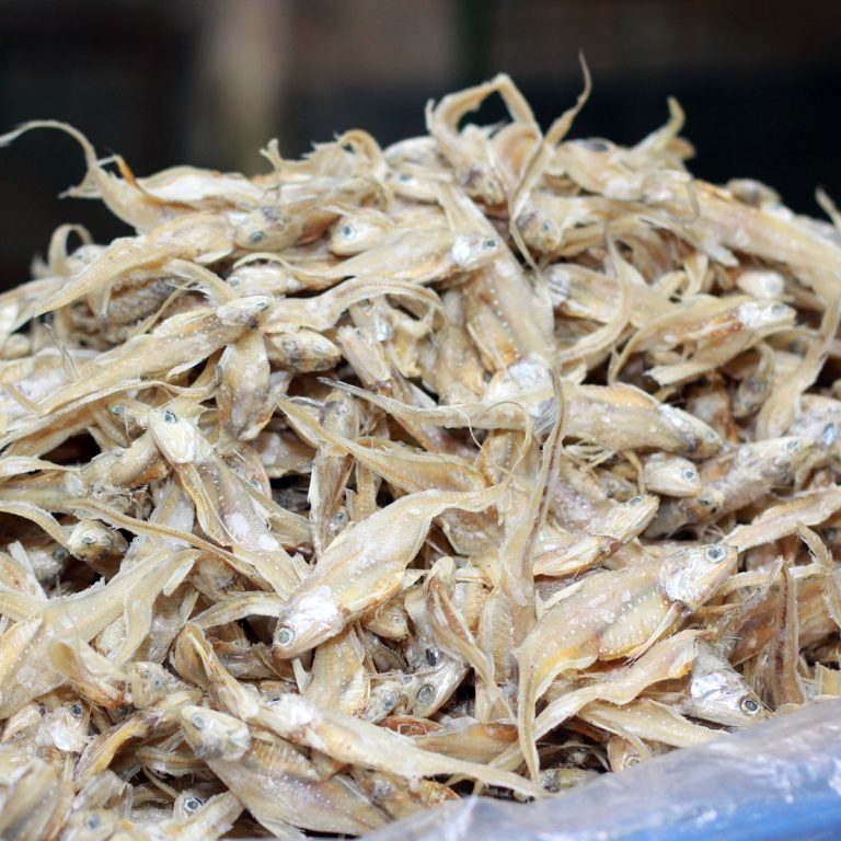 শুটকি মাছ