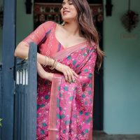 Chanduri Silk Sharee